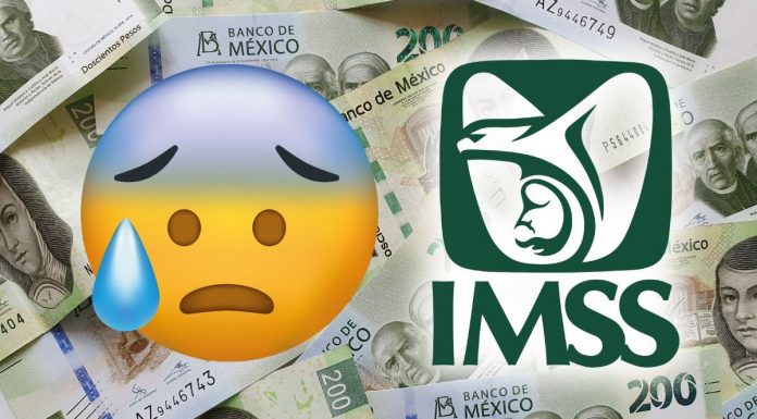 El IMSS y el reto de pensionarse