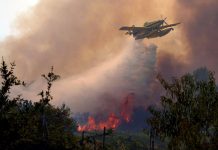 España afronta la peor crisis de incendios forestales en su historia; arrasan 82 mil hectáreas en Ávila, Madrid y Valencia