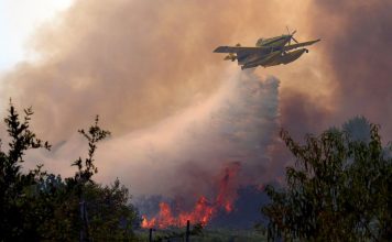 España afronta la peor crisis de incendios forestales en su historia; arrasan 82 mil hectáreas en Ávila, Madrid y Valencia