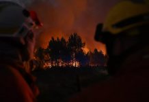 Megaincendio en Francia no cesa: más de 2 mil bomberos al rescate