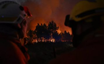 Megaincendio en Francia no cesa: más de 2 mil bomberos al rescate