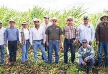 Destinan millones para fortalecer producción cañera en Quintana Roo