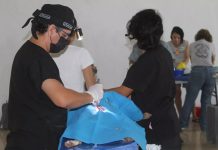 Anuncian jornada permanente de esterilización animal en Chetumal