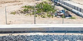 Niegan amparo contra el Tren Maya de carga