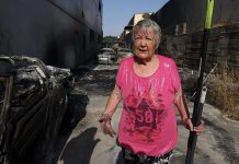 Chapinería y Navas del Rey lloran por su tierra abrasada por las llamas: «¿Quién va a querer volver a un pueblo quemado?»