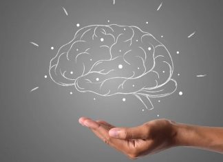 ¿Cómo preservar la salud cerebral? Te dejamos algunas recomendaciones