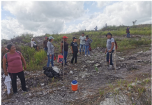 GRAVE EL DESPLOME DE LA ACTIVIDAD FORESTAL