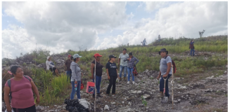 GRAVE EL DESPLOME DE LA ACTIVIDAD FORESTAL
