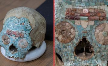 De Oaxaca a Países Bajos y de regreso: la historia del cráneo de turquesa que volvió a México