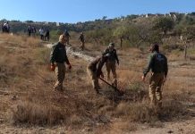 Registro de Fosas Clandestinas del Gobierno está desactualizado: ONG interpone demanda