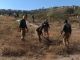 Registro de Fosas Clandestinas del Gobierno está desactualizado: ONG interpone demanda