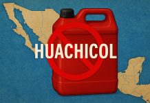 El huachicol fiscal también revela la crisis de Pemex