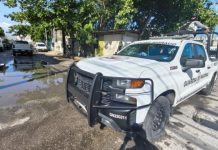 Sorpresivo cateo en la colonia Colosio de Playa del Carmen; resguardan a 2 menores, detienen a dos personas y aseguran droga