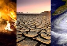 ‘Inversión ambiental, impostergable’