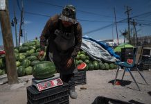 La ruta de la sandía necesita una carretera a la altura de su producción