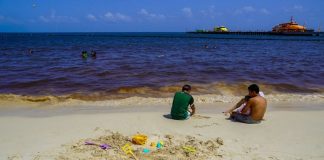 Península de Yucatán espera calor intenso y cielos despejados este miércoles 26 de agosto