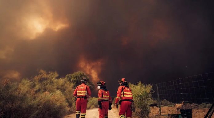 El círculo vicioso que dispara los incendios: más calor, bosques secos y más CO2