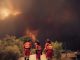 El círculo vicioso que dispara los incendios: más calor, bosques secos y más CO2