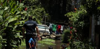 México, entre los países más afectados por la caída de natalidad, alerta Cepal