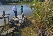 Alerta por presencia de agua contaminada en Quintana Roo