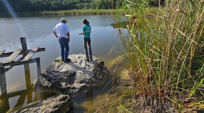 Alerta por presencia de agua contaminada en Quintana Roo