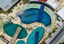 Exigen traslado de especímenes del delfinario clausurado en Cancún