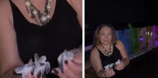 Hasta 350 mil pesos de multa a turistas por manipular a tortugas marinas