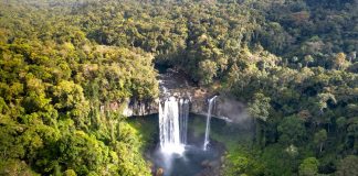 Brasil revisará casos que podrían cambiar la protección de la Amazonía