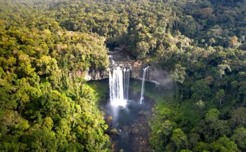 Brasil revisará casos que podrían cambiar la protección de la Amazonía