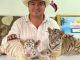 Jaguares, tigres, monos, pumas… animales corren peligro por la falsa «conservación»