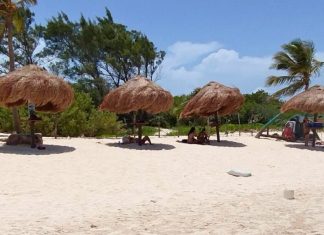 Reportan hurtos en Playa 72; hacen llamado a tomar precauciones