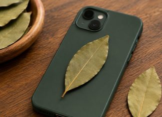 La psicología explica por qué miles de personas llevan una hoja de laurel en la funda del celular y para qué sirve