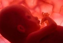 El calor extremo amenaza el embarazo: la sequía eleva el riesgo de parto prematuro y puede frenar el crecimiento fetal