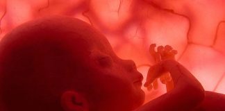 El calor extremo amenaza el embarazo: la sequía eleva el riesgo de parto prematuro y puede frenar el crecimiento fetal