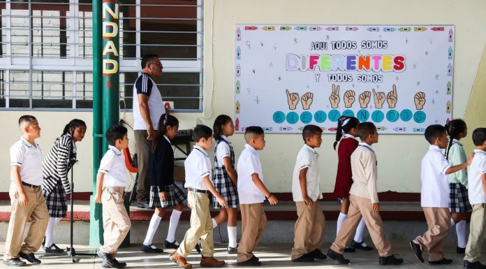 ‘Los ojos que el sistema educativo dejó de usar’