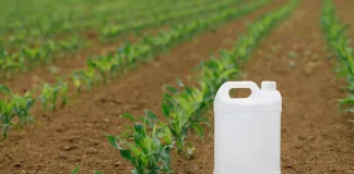 Colombia pondrá a prueba nuevo herbicida para erradicar cultivos de coca