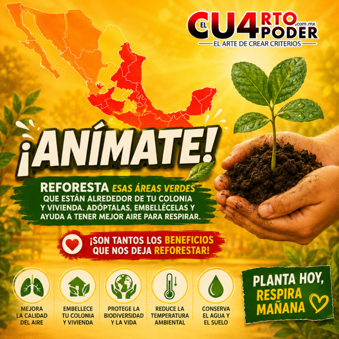 REFORESTA