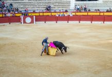 Yucatán: cuando la tradición se convierte en argumento para el sufrimiento