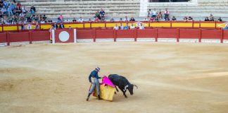 Yucatán: cuando la tradición se convierte en argumento para el sufrimiento