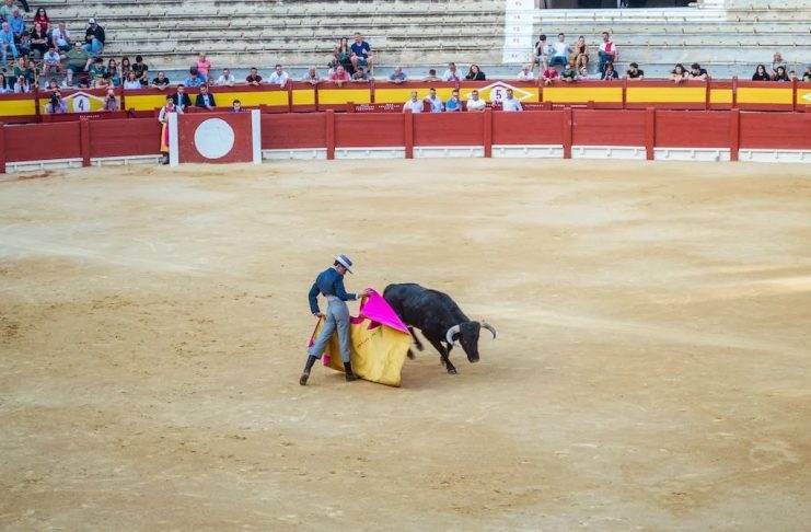 Yucatán: cuando la tradición se convierte en argumento para el sufrimiento