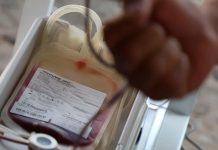 Donación de sangre: 7 mitos que rodean a este acto que permite salvar vidas a diario