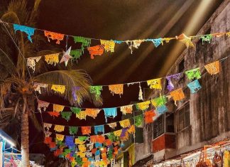 Empresarios urgen diversificar la economía de Playa del Carmen ante debilidad del turismo