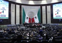 La despidieron de la Cámara de Diputados, no se dejó y logró un fallo histórico