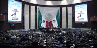 La despidieron de la Cámara de Diputados, no se dejó y logró un fallo histórico