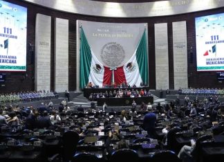 La despidieron de la Cámara de Diputados, no se dejó y logró un fallo histórico