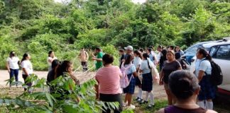 YUCATÁN | Habitantes de Tiholop bloquean carreteras por constantes fallas de energía eléctrica