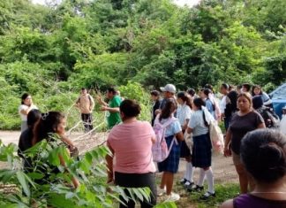 YUCATÁN | Habitantes de Tiholop bloquean carreteras por constantes fallas de energía eléctrica