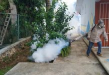 Mientras el secretario de SESA anda en campaña, Quintana Roo lidera en casos de dengue en la Península