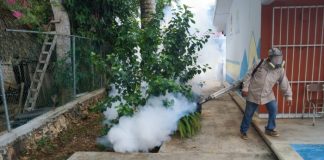 Mientras el secretario de SESA anda en campaña, Quintana Roo lidera en casos de dengue en la Península