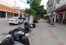 Presenta Redesol recurso de inconformidad ante instancia judicial; busca recuperar concesión de servicio de recoja de basura en zona turística de Playa del Carmen y Puerto Aventuras